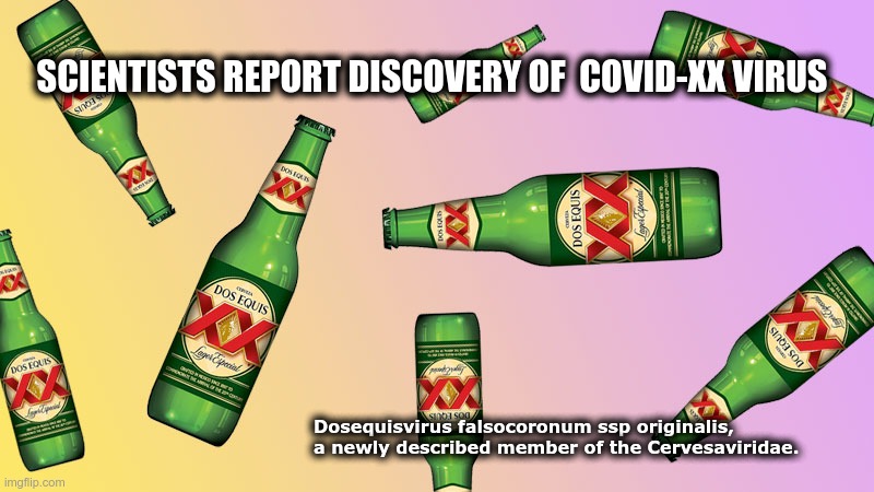 COVID-20 | SCIENTISTS REPORT DISCOVERY OF  COVID-XX VIRUS; Dosequisvirus falsocoronum ssp originalis,
a newly described member of the Cervesaviridae. | image tagged in coronavirus,dos equis virus | made w/ Imgflip meme maker