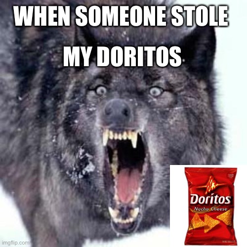 Angry Wolf | WHEN SOMEONE STOLE; MY DORITOS | image tagged in angry wolf | made w/ Imgflip meme maker