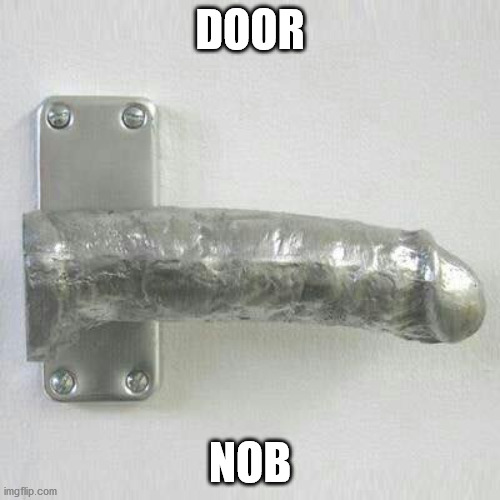 Door Nob | DOOR; NOB | image tagged in funny memes,best meme,comedy,laughing men in suits | made w/ Imgflip meme maker