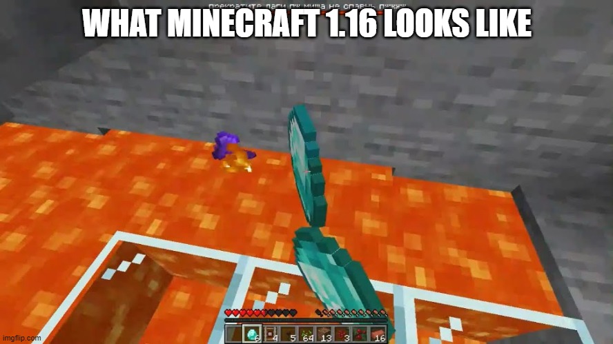 1.16 minecraft | WHAT MINECRAFT 1.16 LOOKS LIKE | image tagged in minecraft | made w/ Imgflip meme maker