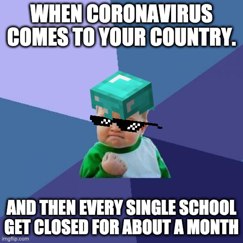 Success Kid Meme | WHEN CORONAVIRUS COMES TO YOUR COUNTRY. AND THEN EVERY SINGLE SCHOOL GET CLOSED FOR ABOUT A MONTH | image tagged in memes,success kid | made w/ Imgflip meme maker