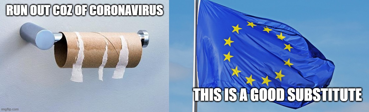 RUN OUT COZ OF CORONAVIRUS; THIS IS A GOOD SUBSTITUTE | image tagged in no more toilet paper,the european union | made w/ Imgflip meme maker