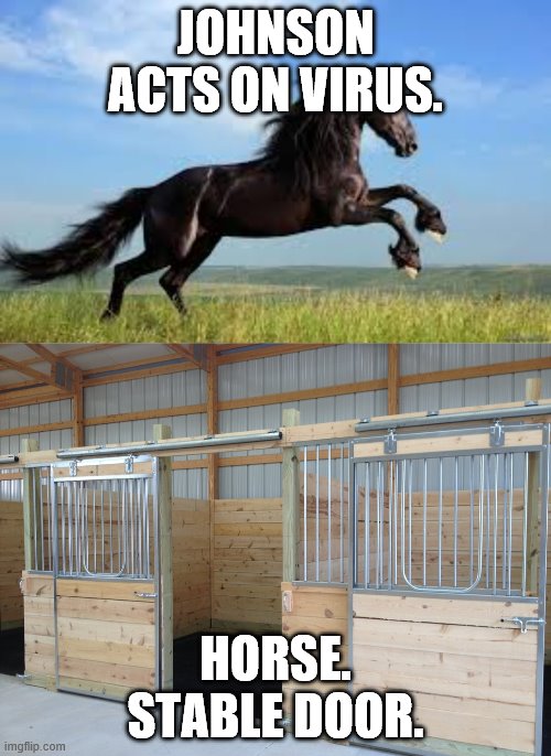 JOHNSON ACTS ON VIRUS. HORSE.
STABLE DOOR. | image tagged in horsepower | made w/ Imgflip meme maker