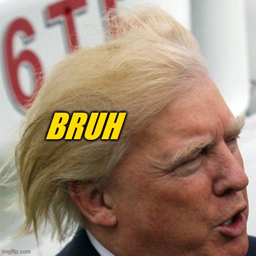 Trump Hair | BRUH | image tagged in trump hair | made w/ Imgflip meme maker