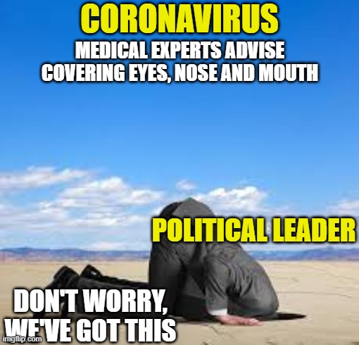 Coronavirus Head in the Sand | CORONAVIRUS; MEDICAL EXPERTS ADVISE COVERING EYES, NOSE AND MOUTH; POLITICAL LEADER; DON'T WORRY, WE'VE GOT THIS | image tagged in coronavirus,politics,head in the sand | made w/ Imgflip meme maker