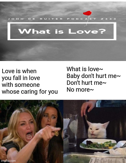 Woman Yelling At Cat | What is love~
Baby don't hurt me~
Don't hurt me~
No more~; Love is when you fall in love with someone whose caring for you | image tagged in memes,woman yelling at cat | made w/ Imgflip meme maker