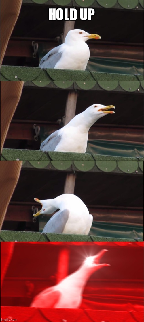 Inhaling Seagull | HOLD UP | image tagged in memes,inhaling seagull | made w/ Imgflip meme maker