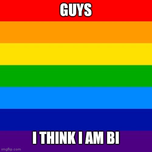 gay flag | GUYS; I THINK I AM BI | image tagged in gay flag | made w/ Imgflip meme maker