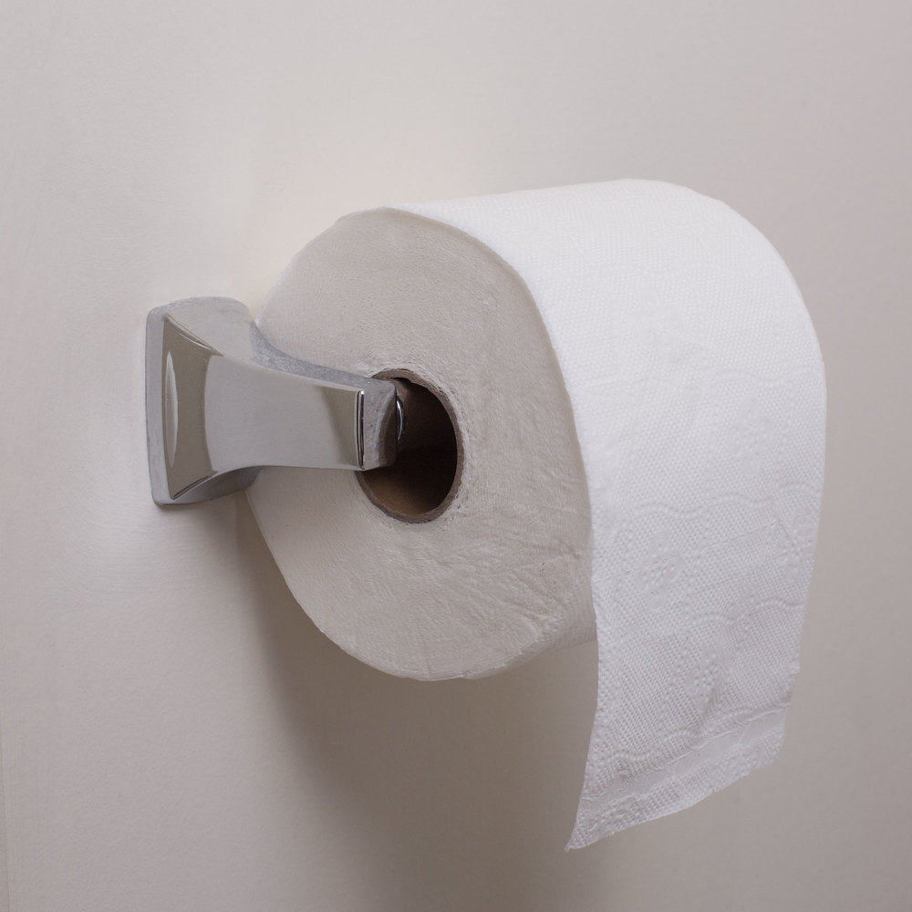 Toilet Paper - Single Roll Blank Meme Template