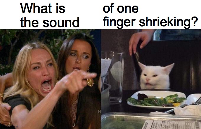 Woman Yelling At Cat Meme | of one  finger shrieking? What is     the sound | image tagged in memes,woman yelling at cat,angry lady cat,long meme,one million points,that's not how any of this works | made w/ Imgflip meme maker