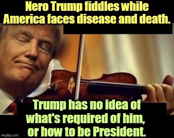 Trump liked being called Emperor. Guess he didn't know how Nero ended up. | image tagged in trump,emperor,fool,incompetence,covid,coronavirus | made w/ Imgflip meme maker