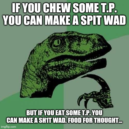 Philosoraptor Meme | IF YOU CHEW SOME T.P. YOU CAN MAKE A SPIT WAD; BUT IF YOU EAT SOME T.P. YOU CAN MAKE A SH1T WAD. FOOD FOR THOUGHT... | image tagged in memes,philosoraptor | made w/ Imgflip meme maker