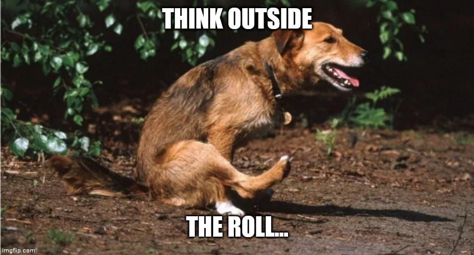 THINK OUTSIDE; THE ROLL... | image tagged in toilet paper,shortage,covid-19 | made w/ Imgflip meme maker
