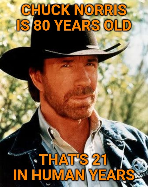 Chuck Norris | CHUCK NORRIS IS 80 YEARS OLD; THAT'S 21 IN HUMAN YEARS | image tagged in memes,chuck norris | made w/ Imgflip meme maker