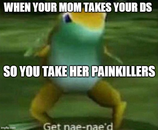 Get nae-nae'd | WHEN YOUR MOM TAKES YOUR DS; SO YOU TAKE HER PAINKILLERS | image tagged in get nae-nae'd | made w/ Imgflip meme maker
