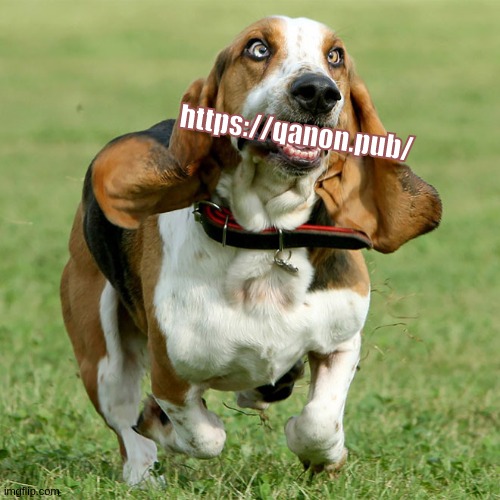 https://qanon.pub/ | https://qanon.pub/ | image tagged in hot dogs,animals,dogs,funny animals,funny dogs,the great awakening | made w/ Imgflip meme maker
