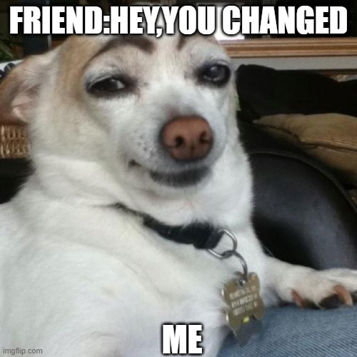 You Changed | FRIEND:HEY,YOU CHANGED; ME | image tagged in dog,funny,stupid,weird | made w/ Imgflip meme maker
