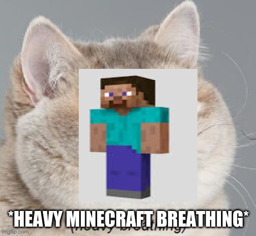 *HEAVY MINECRAFT BREATHING* | image tagged in memes,heavy breathing cat | made w/ Imgflip meme maker