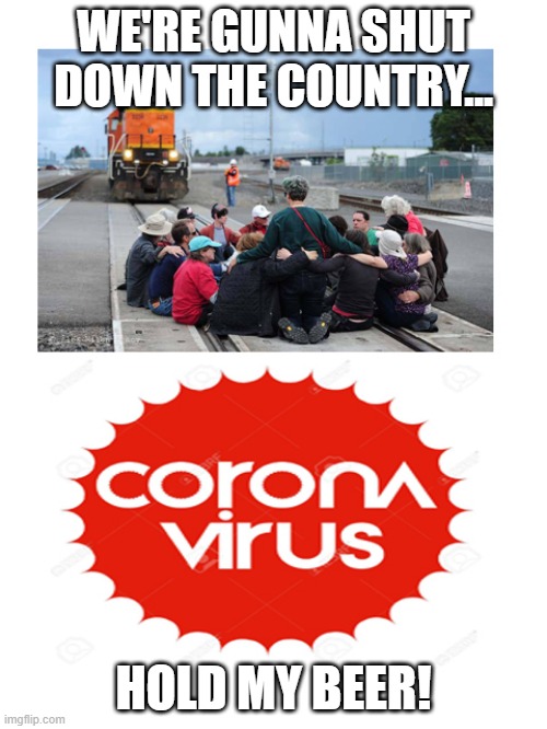 corona shutdown | WE'RE GUNNA SHUT DOWN THE COUNTRY... HOLD MY BEER! | image tagged in funny,coronavirus,protesters | made w/ Imgflip meme maker