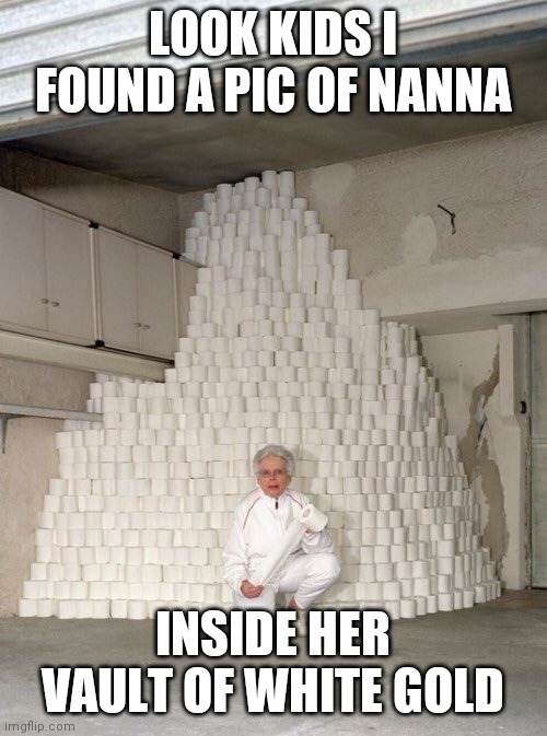 Circa 2020 | LOOK KIDS I FOUND A PIC OF NANNA; INSIDE HER VAULT OF WHITE GOLD | image tagged in mountain of toilet paper | made w/ Imgflip meme maker