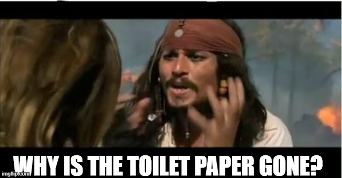 Why Is The Rum Gone | WHY IS THE TOILET PAPER GONE? | image tagged in memes,why is the rum gone | made w/ Imgflip meme maker