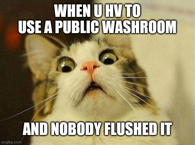 Scared Cat Meme | WHEN U HV TO USE A PUBLIC WASHROOM; AND NOBODY FLUSHED IT | image tagged in memes,scared cat | made w/ Imgflip meme maker