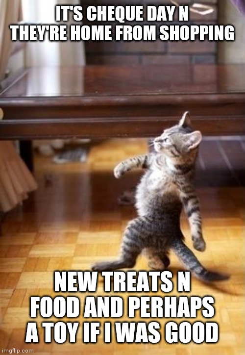 Cool Cat Stroll | IT'S CHEQUE DAY N THEY'RE HOME FROM SHOPPING; NEW TREATS N FOOD AND PERHAPS A TOY IF I WAS GOOD | image tagged in memes,cool cat stroll | made w/ Imgflip meme maker