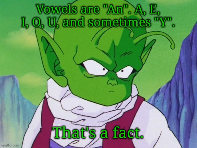 Quoter Dende (DBZ) | Vowels are "An". A, E, I, O, U, and sometimes "Y". That's a fact. | image tagged in quoter dende dbz | made w/ Imgflip meme maker