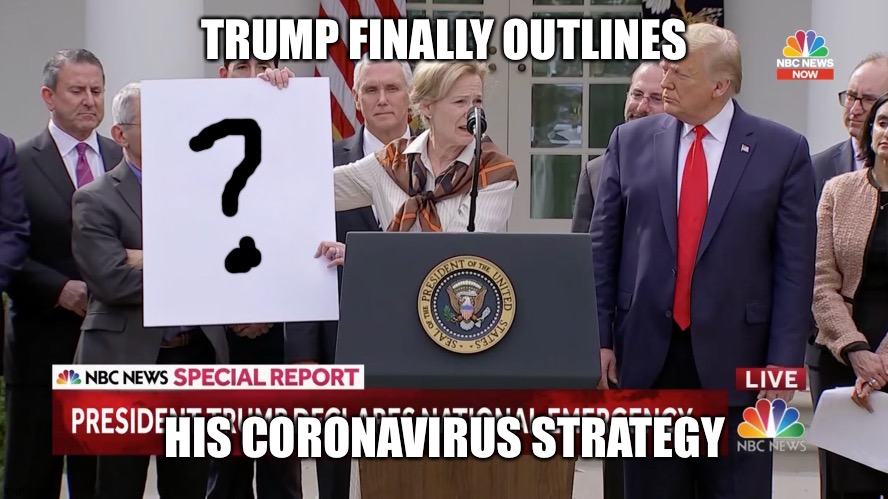 Where's the Kush when you need him? | TRUMP FINALLY OUTLINES; HIS CORONAVIRUS STRATEGY | image tagged in trump coronavirus,trump,coronavirus | made w/ Imgflip meme maker