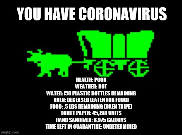 Oregon trail | YOU HAVE CORONAVIRUS; HEALTH: POOR
WEATHER: HOT
WATER:150 PLASTIC BOTTLES REMAINING
OXEN: DECEASED (EATEN FOR FOOD)
FOOD: .5 LBS REMAINING (OXEN TRIPE)
TOILET PAPER: 45,798 UNITS
HAND SANITIZER: 6,975 GALLONS
TIME LEFT IN QUARANTINE: UNDETERMINED | image tagged in oregon trail | made w/ Imgflip meme maker