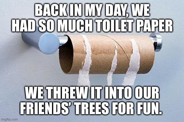 No More Toilet Paper | BACK IN MY DAY, WE HAD SO MUCH TOILET PAPER; WE THREW IT INTO OUR FRIENDS’ TREES FOR FUN. | image tagged in no more toilet paper | made w/ Imgflip meme maker