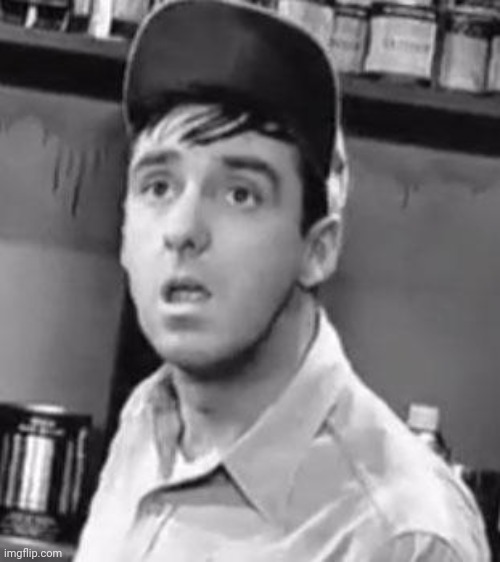Gomer Pyle | image tagged in gomer pyle | made w/ Imgflip meme maker