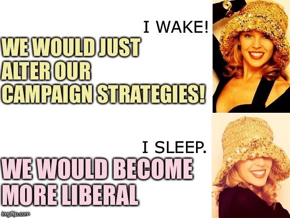 Abolish the EC, and the GOP would just “change campaign strategies“ to keep winning? (Nah they’d become more liberal) | WE WOULD JUST ALTER OUR CAMPAIGN STRATEGIES! WE WOULD BECOME MORE LIBERAL | image tagged in kylie i wake/i sleep,liberal,electoral college,gop,republican party,republicans | made w/ Imgflip meme maker