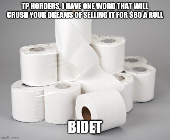TP horders.....you are hoarding something that is not a necessity, can be easily manufactured, and goes in your butt crack?! | TP HORDERS, I HAVE ONE WORD THAT WILL CRUSH YOUR DREAMS OF SELLING IT FOR $80 A ROLL; BIDET | image tagged in toilet paper,hoarding,coronavirus | made w/ Imgflip meme maker