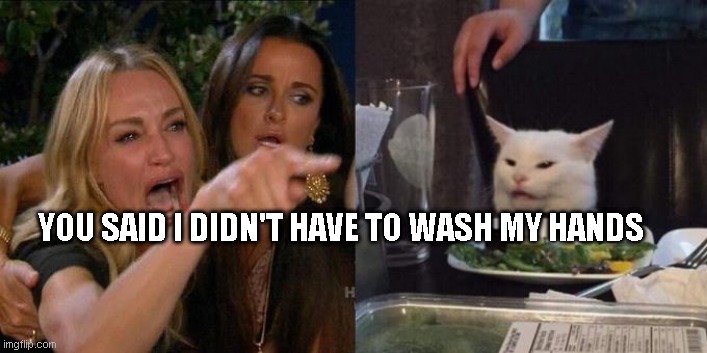 Woman Screaming at Cat | YOU SAID I DIDN'T HAVE TO WASH MY HANDS | image tagged in woman screaming at cat | made w/ Imgflip meme maker