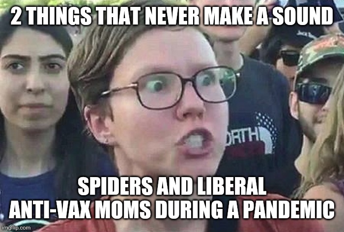 Where are the anti-vaxxers now that coronavirus is here?!? | 2 THINGS THAT NEVER MAKE A SOUND; SPIDERS AND LIBERAL ANTI-VAX MOMS DURING A PANDEMIC | image tagged in triggered liberal,coronavirus,vaccines | made w/ Imgflip meme maker