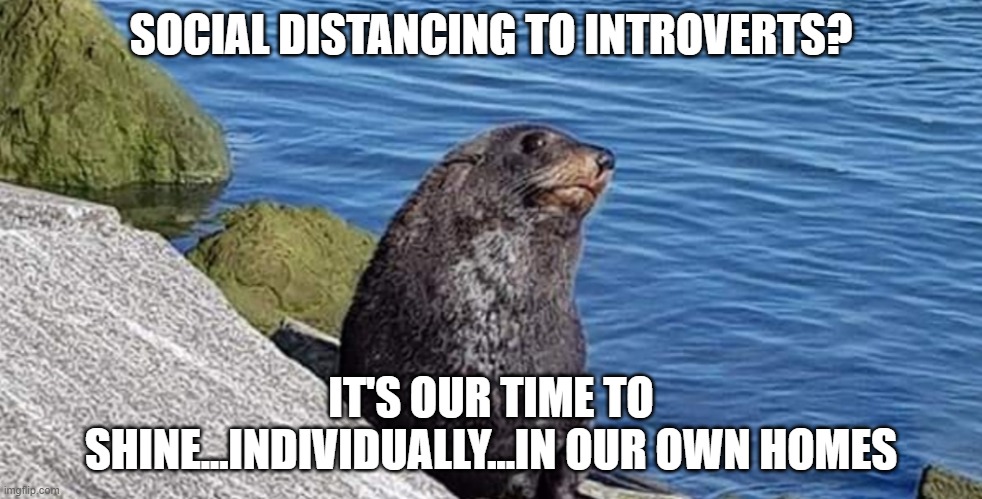 Introvert | SOCIAL DISTANCING TO INTROVERTS? IT'S OUR TIME TO SHINE...INDIVIDUALLY...IN OUR OWN HOMES | image tagged in introvert | made w/ Imgflip meme maker