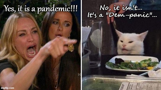 Yes, it is!!! | No, it isn't...  It's a "Dem-panic"... Yes, it is a pandemic!!! | image tagged in pandemic,dem-panic,white cat,bimbos | made w/ Imgflip meme maker