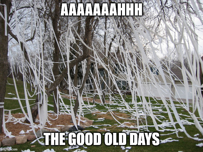 AAAAAAAHHH; THE GOOD OLD DAYS | image tagged in toilet paper | made w/ Imgflip meme maker
