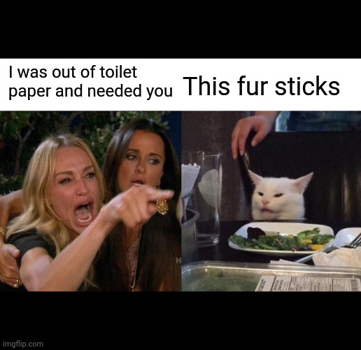 Woman Yelling At Cat | I was out of toilet paper and needed you; This fur sticks | image tagged in memes,woman yelling at cat | made w/ Imgflip meme maker