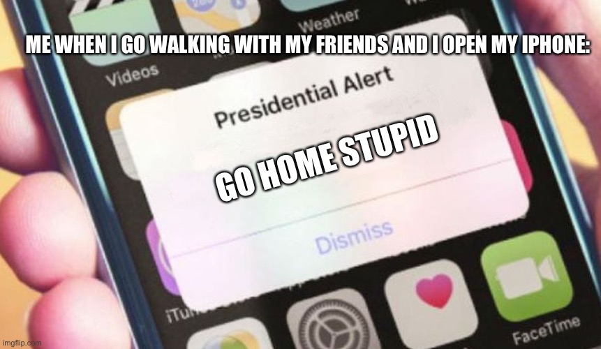 Presidential Alert | ME WHEN I GO WALKING WITH MY FRIENDS AND I OPEN MY IPHONE:; GO HOME STUPID | image tagged in memes,presidential alert | made w/ Imgflip meme maker