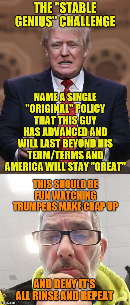 THE "STABLE GENIUS" CHALLENGE; NAME A SINGLE "ORIGINAL" POLICY THAT THIS GUY HAS ADVANCED AND WILL LAST BEYOND HIS TERM/TERMS AND AMERICA WILL STAY "GREAT"; THIS SHOULD BE FUN WATCHING TRUMPERS MAKE CRAP UP; AND DENY IT'S ALL RINSE AND REPEAT | image tagged in donald trump,pondering bert | made w/ Imgflip meme maker