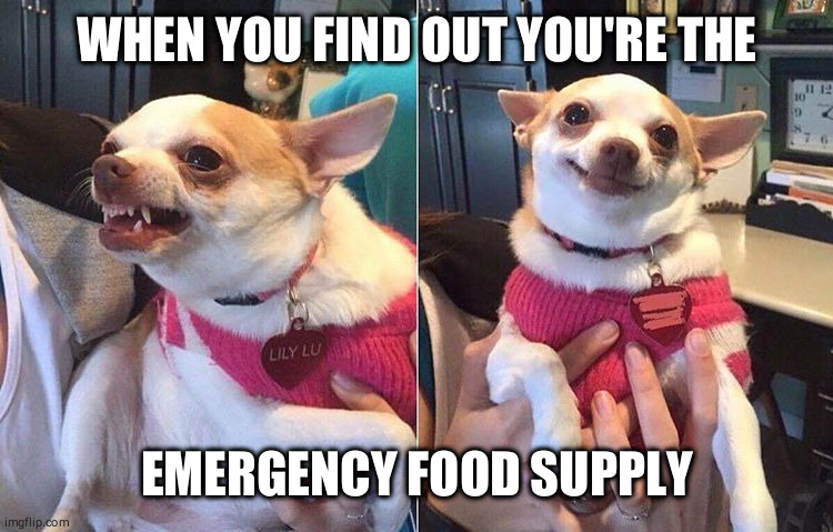 angry dog meme | WHEN YOU FIND OUT YOU'RE THE; EMERGENCY FOOD SUPPLY | image tagged in angry dog meme | made w/ Imgflip meme maker