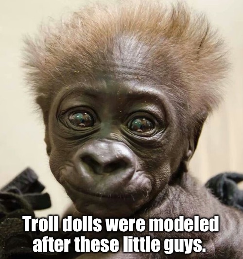 Troll dolls were modeled after these little guys. | made w/ Imgflip meme maker
