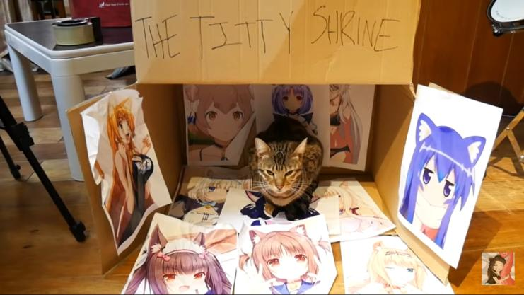 The T(K)itty Shrine Blank Meme Template