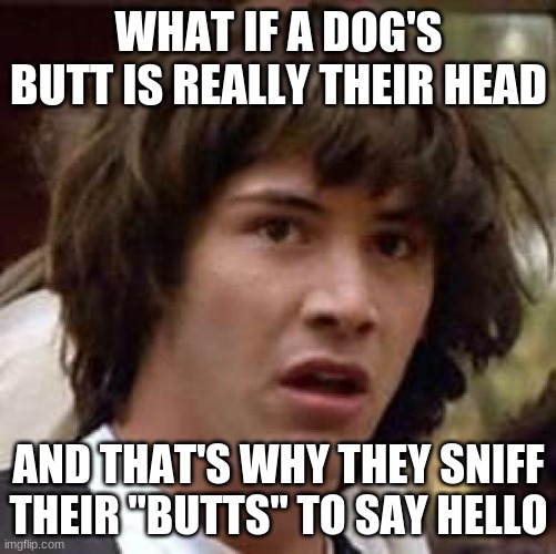 Conspiracy Keanu Meme | WHAT IF A DOG'S BUTT IS REALLY THEIR HEAD; AND THAT'S WHY THEY SNIFF THEIR "BUTTS" TO SAY HELLO | image tagged in memes,conspiracy keanu | made w/ Imgflip meme maker