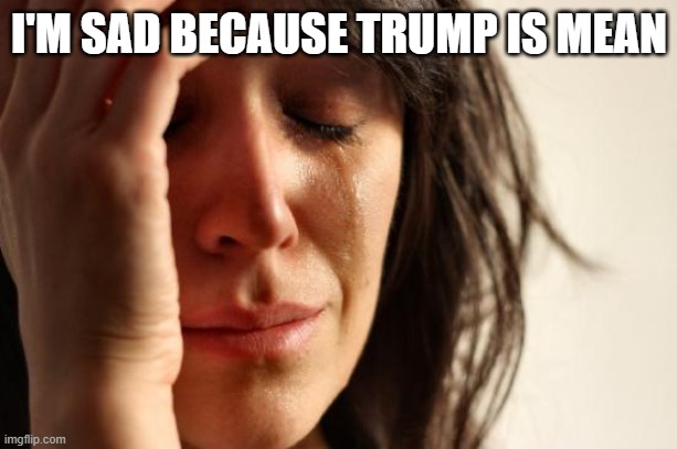 First World Problems Meme | I'M SAD BECAUSE TRUMP IS MEAN | image tagged in memes,first world problems | made w/ Imgflip meme maker