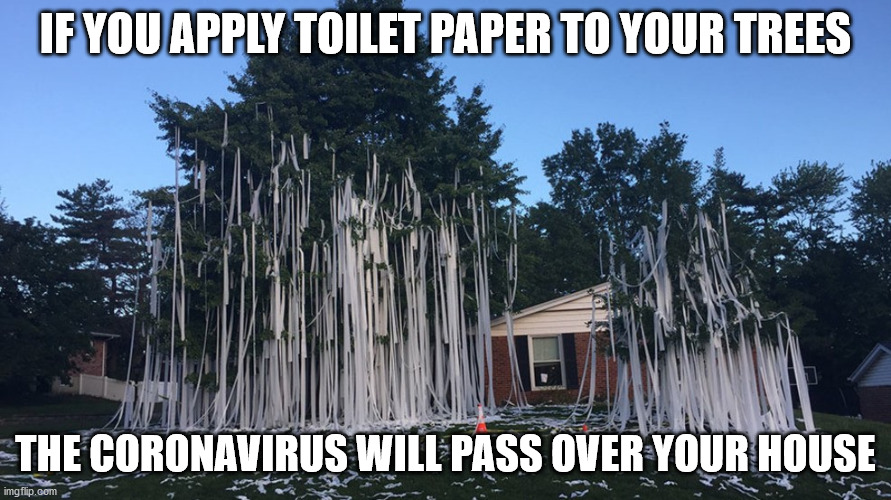 Passover 2020 | IF YOU APPLY TOILET PAPER TO YOUR TREES; THE CORONAVIRUS WILL PASS OVER YOUR HOUSE | image tagged in coronavirus | made w/ Imgflip meme maker