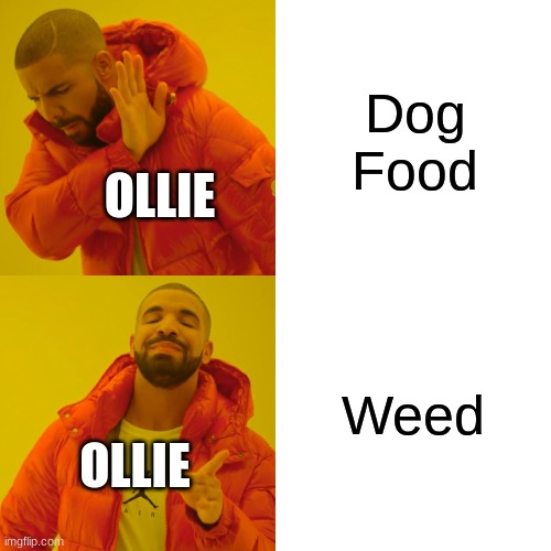 Dog Food Weed OLLIE OLLIE | image tagged in memes,drake hotline bling | made w/ Imgflip meme maker