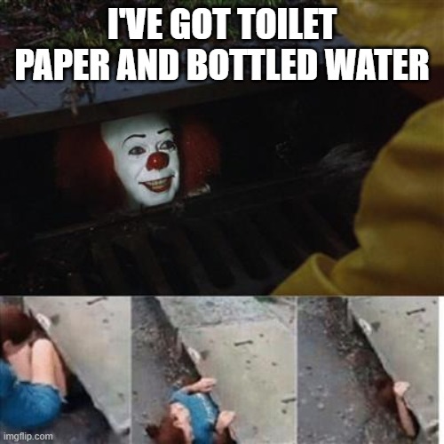 pennywise in sewer | I'VE GOT TOILET PAPER AND BOTTLED WATER | image tagged in pennywise in sewer | made w/ Imgflip meme maker